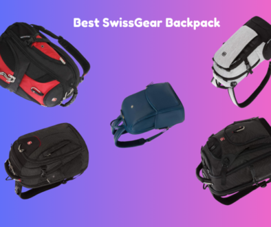 SwissGear Backpack