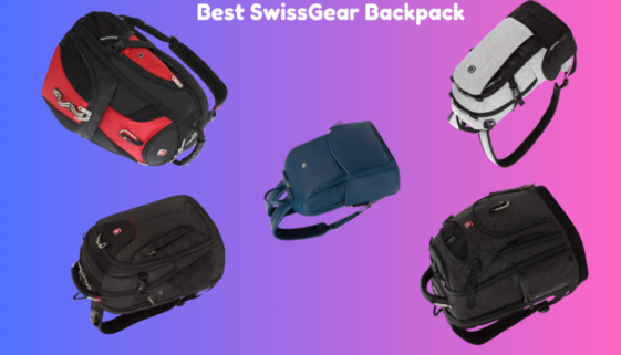 SwissGear Backpack