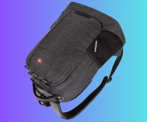 SwissGear Backpack Cecil 5505