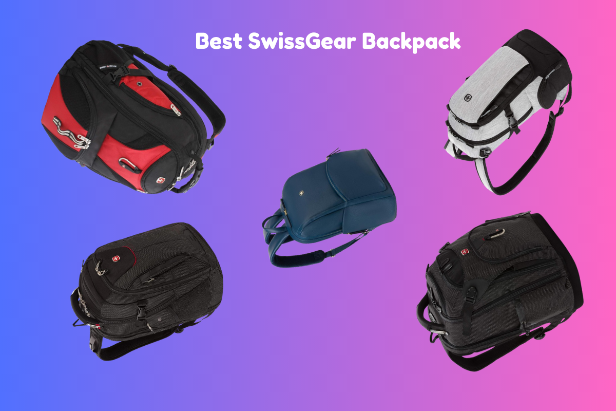 SwissGear Backpack